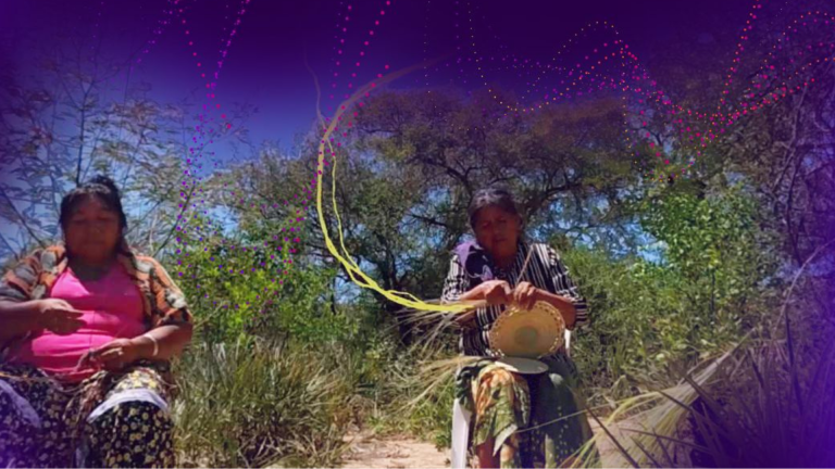 Experiencia Gran Chaco Americano 360